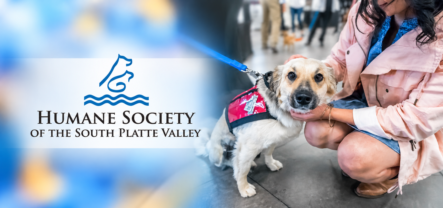 woof n wine banner
